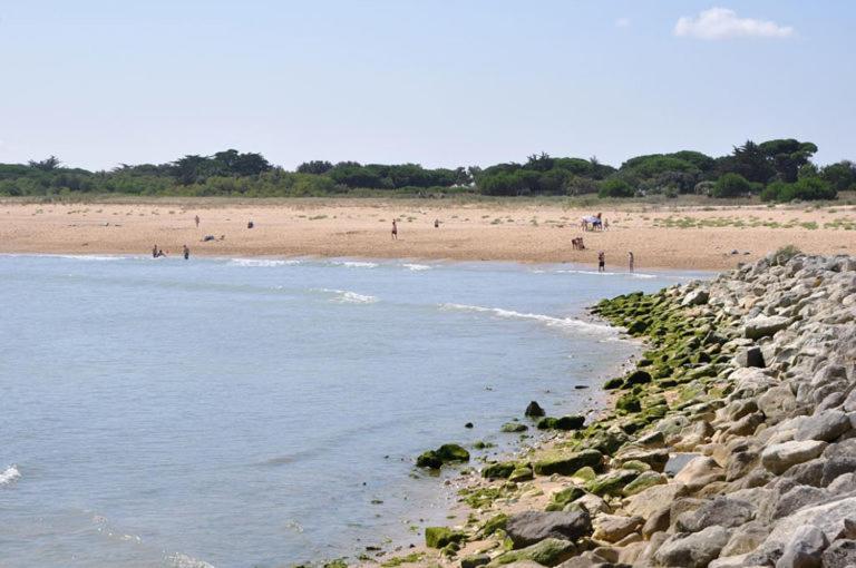 A 80M De La Plage De Plaisance Pour 8 Personnes 생-조르주-돌레롱 외부 사진